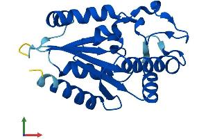 AlphaFold protein structure predicition of Mouse Recombinant Nmrk2 Protein, UniprotID Q9D7C9