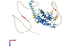 AlphaFold protein structure predicition of Mouse Recombinant Nap1l2 Protein, UniprotID P51860