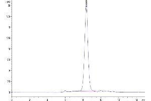 The purity of Human CD160 is greater than 95 % as determined by SEC-HPLC. (CD160 Protein (CD160) (AA 25-158) (His-Avi Tag))