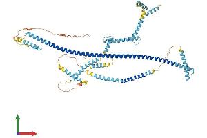 AlphaFold protein structure predicition of Mouse Recombinant Cep70 Protein, UniprotID Q6IQY5