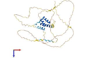 AlphaFold protein structure predicition of Mouse Recombinant Alx4 Protein, UniprotID O35137