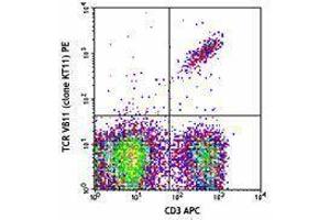 Flow Cytometry (FACS) image for anti-TCR V beta 11 antibody (PE) (ABIN2663913) (TCR V beta 11 anticorps (PE))
