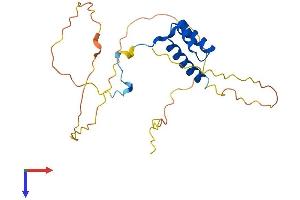 AlphaFold protein structure predicition of Human Recombinant HOXA7 Protein, UniprotID P31268