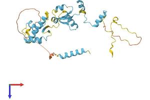 AlphaFold protein structure predicition of Mouse Recombinant Gtf2e2 Protein, UniprotID Q9D902