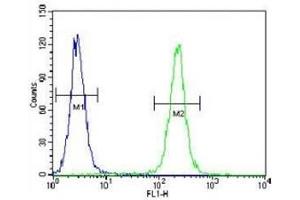 IGF2 antibody flow cytometric analysis of HeLa cells (green) compared to a negative control (blue).