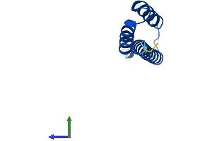 AlphaFold protein structure predicition of Mouse Recombinant Etfrf1 Protein, UniprotID Q91V16