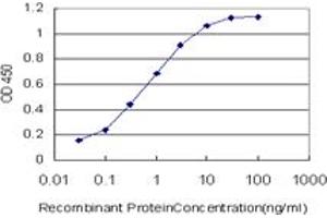 Detection limit for recombinant GST tagged EP300 is approximately 0. (p300 anticorps  (AA 731-830))