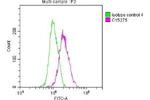 Overlay histogram showing A549 cells stained with ABIN7127859 (red line) at 1:50.