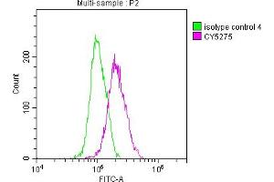 Overlay histogram showing A549 cells stained with ABIN7127859 (red line) at 1:50. (Recombinant NKX2-1 anticorps)