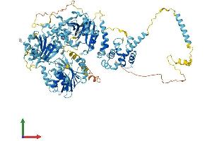 AlphaFold protein structure predicition of Mouse Recombinant Nat10 Protein, UniprotID Q8K224