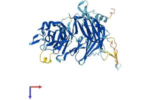 AlphaFold protein structure predicition of Human Recombinant DCAF17 Protein, UniprotID Q5H9S7
