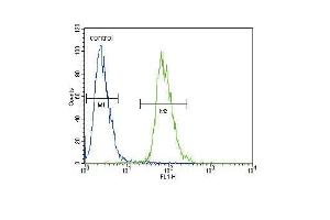 ETV5 Antibody (N-term) (ABIN654690 and ABIN2844382) flow cytometric analysis of 293 cells (right histogram) compared to a negative control cell (left histogram). (ETV5 anticorps  (N-Term))