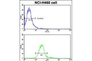 Flow cytometric analysis of NCI-H460 cells using ROR1 Antibody (bottom histogram) compared to a negative control cell (top histogram).