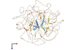 AlphaFold protein structure predicition of Human Recombinant BCL9L Protein, UniprotID Q86UU0
