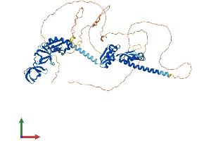 AlphaFold protein structure predicition of Human Recombinant FXR2 Protein, UniprotID P51116