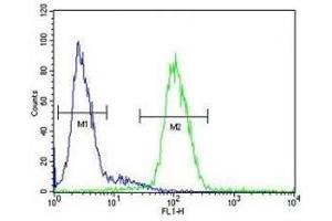 Ceruloplasmin antibody flow cytometric analysis of HepG2 cells (green) compared to a negative control (blue).