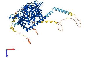 AlphaFold protein structure predicition of Mouse Recombinant Pxk Protein, UniprotID Q8BX57