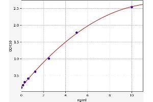Typical standard curve (14-3-3 gamma Kit ELISA)
