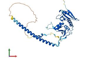 AlphaFold protein structure predicition of Human Recombinant TSEN34 Protein, UniprotID Q9BSV6