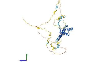 AlphaFold protein structure predicition of Mouse Recombinant Tlx2 Protein, UniprotID Q61663