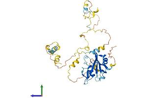 AlphaFold protein structure predicition of Mouse Recombinant Shd Protein, UniprotID O88834