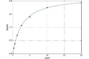 Transferrin Receptor 2 (TFR2) ELISA Kit