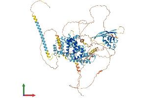 AlphaFold protein structure predicition of Human Recombinant SNX19 Protein, UniprotID Q92543