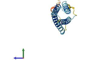 AlphaFold protein structure predicition of Human Recombinant CKLF Protein, UniprotID Q9UBR5