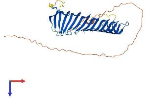 AlphaFold protein structure predicition of Mouse Recombinant Rsph1 Protein, UniprotID Q8VIG3