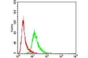 Flow cytometric analysis of Hela cells using VAV2 mouse mAb (green) and negative control (red).