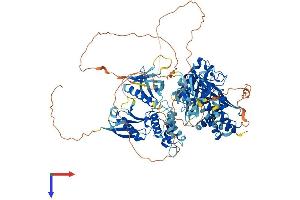 AlphaFold protein structure predicition of Mouse Recombinant Ptpn3 Protein, UniprotID A2ALK8