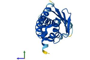 AlphaFold protein structure predicition of Human Recombinant TRAPPC6B Protein, UniprotID Q86SZ2