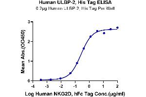 Immobilized Human ULBP-2, His Tag at 2 μg/mL (100 μL/Well) on the plate.