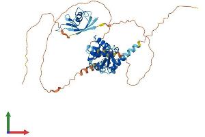 AlphaFold protein structure predicition of Mouse Recombinant Gabpa Protein, UniprotID Q00422
