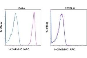Image no. 1 for anti-MHC Class I H-2Kd antibody (APC) (ABIN476368) (MHC Class I H-2Kd anticorps  (APC))