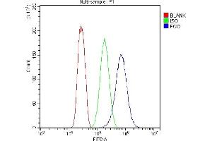 Flow Cytometry analysis of SiHa cells using anti-FGG antibody (ABIN4886589).