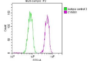 Overlay histogram showing Hela cells stained with ABIN7127661 (red line) at 1:50.