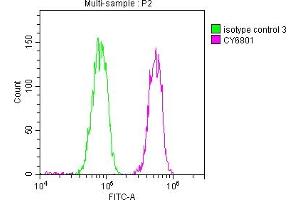 Overlay histogram showing Hela cells stained with ABIN7127661 (red line) at 1:50. (Recombinant PABPN1 anticorps)