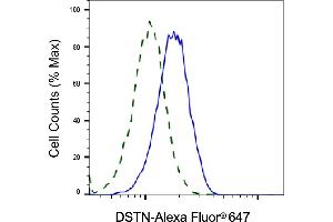 Validation of DSTN knockdown using flow cytometry. (Destrin anticorps)