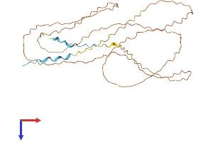 AlphaFold protein structure predicition of Human Recombinant LORICRIN Protein, UniprotID P23490