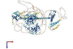 AlphaFold protein structure predicition of Human Recombinant BRPF1 Protein, UniprotID P55201