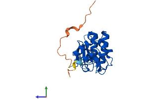 AlphaFold protein structure predicition of Human Recombinant DUSP14 Protein, UniprotID O95147