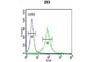 Flow Cytometry (FACS) image for anti-APC Membrane Recruitment Protein 1 (AMER1) antibody (ABIN3002682)