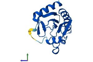 AlphaFold protein structure predicition of Human Recombinant FHIT Protein, UniprotID P49789