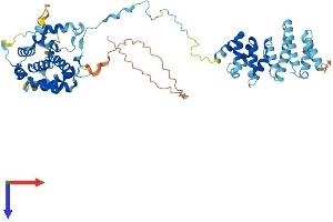 AlphaFold protein structure predicition of Human Recombinant CNOT11 Protein, UniprotID Q9UKZ1
