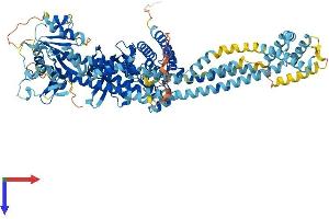 AlphaFold protein structure predicition of Mouse Recombinant Dstyk Protein, UniprotID Q6XUX1