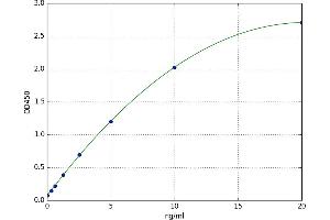 Intercellular Adhesion Molecule 5 (ICAM5) ELISA Kit