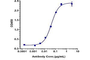 Immobilized human HER3 His at 2 μg/mL can bind Anti-ERBB3 / HER3 Reference Antibody (patritumab), EC50=0.