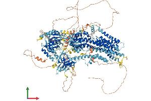 AlphaFold protein structure predicition of Human Recombinant ATP10A Protein, UniprotID O60312