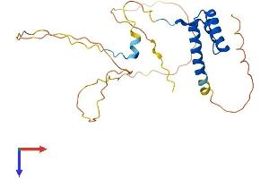 AlphaFold protein structure predicition of Human Recombinant HOXC6 Protein, UniprotID P09630